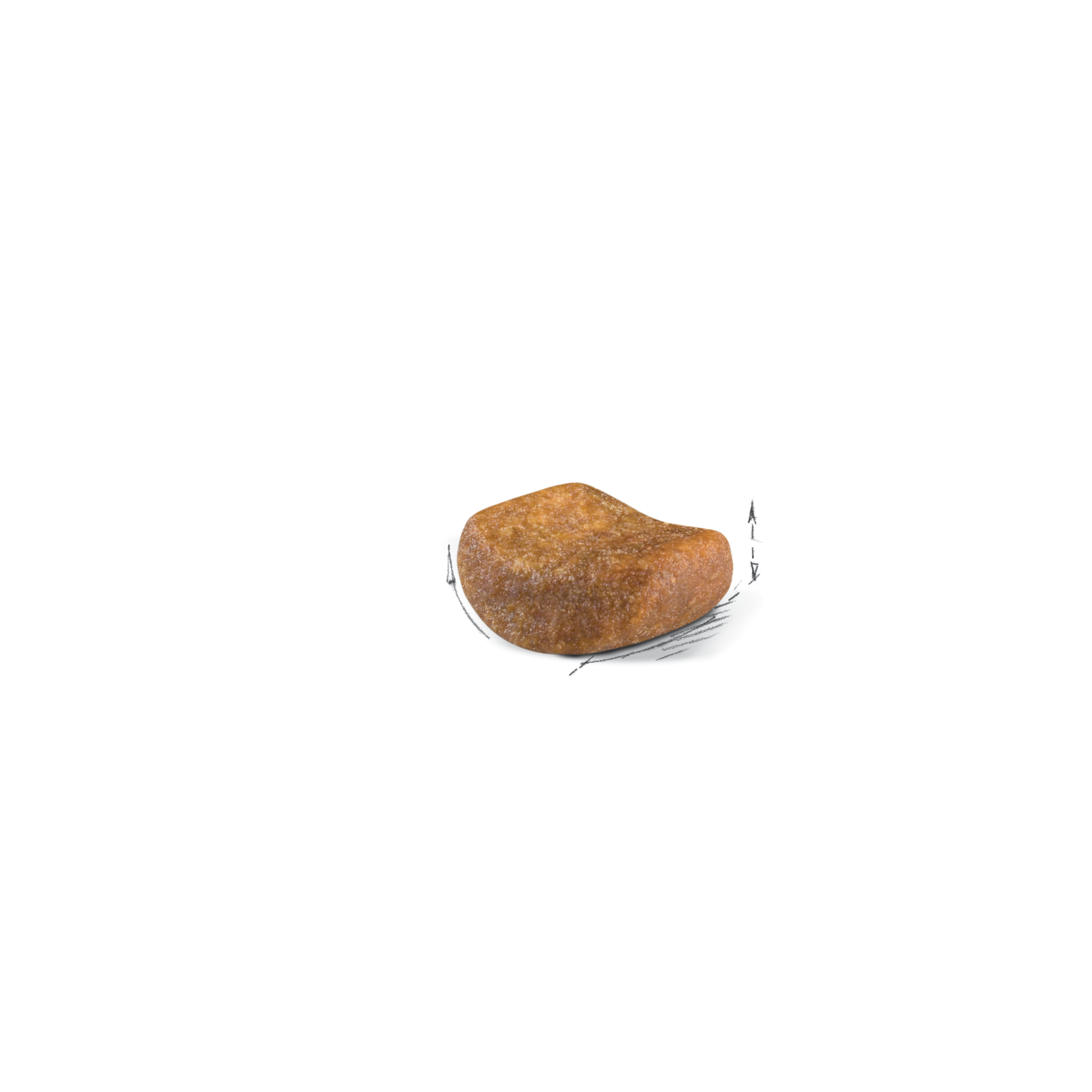 Royal Canin Adult British Shorthair Cat Food - PetWorld