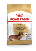 Royal Canin Dachshund Adult dry dog food bag, front of pack