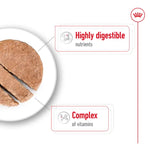 Royal Canin Mini Adult Wet Dog Food 195g Can