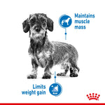 Royal Canin Mini Light Weight Care helps maintain muscle mass and limits weight gain