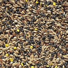 Nature's Best Canary Seed 1kg - PetWorld