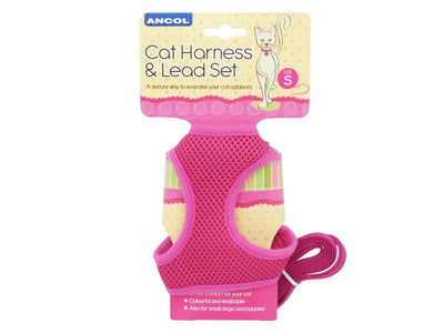 cat lead and pink harness