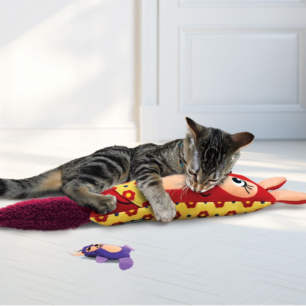 cat with kickeroo kanga