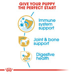 Royal Canin Dachshund Puppy benefits: immune system support, joint and bone support, digestive health