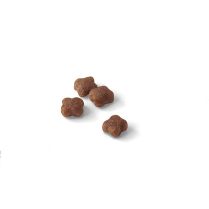 Royal Canin Mother and Baby Cat Food - PetWorld