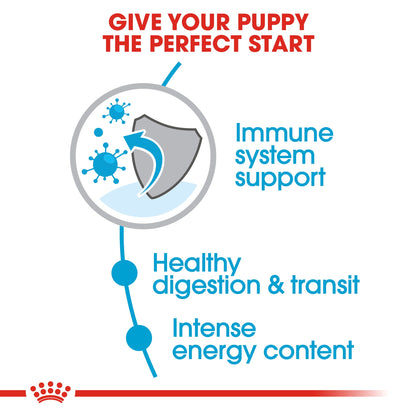 Royal Canin Junior X-small dog 1.5kg - PetWorld