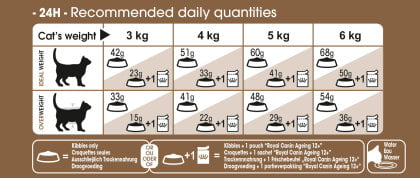 Royal Canin Aging +12 Cat Food - PetWorld
