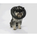 Thrive Comfy Collar XLarge