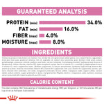 Royal Canin Kitten Dry Cat Food - PetWorld