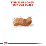 royal canin kibbles for boxers