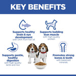 Hill's Science Plan Puppy Medium Lamb & Rice key benefits: DHA, lean muscle, digestion, bones and teeth