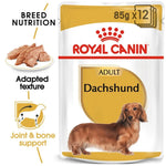 Wet food for Dachshunds