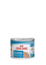 Royal Canin Starter Mother and Babydog Ultra Soft Mousse 195g can