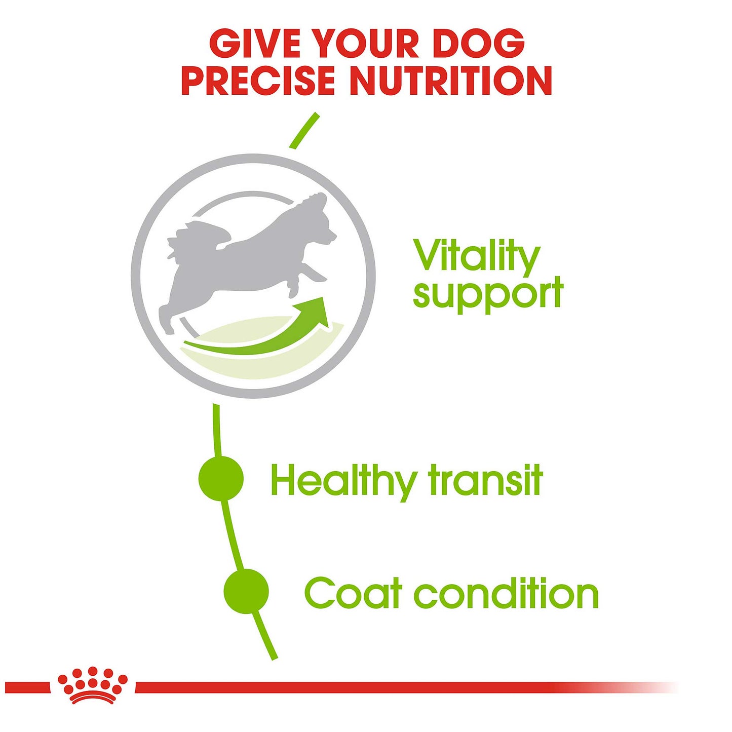 Royal Canin X-Small Adult 8+ Dog Food 1.5kg - PetWorld