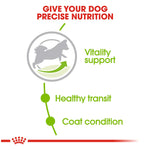 Royal Canin X-Small Adult 8+ Dog Food 1.5kg - PetWorld