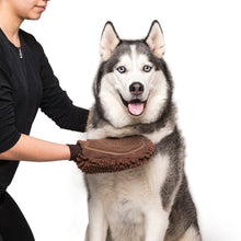 dirty dog grooming mitt