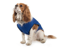 dog cooling vest