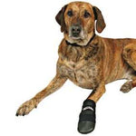 Trixie Dog Boots XXLarge - PetWorld