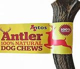 Antler Natural Dog Chew Medium