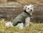 TRIXIE Arlay Dog Coat – Dark Green, Size XS (30 cm)