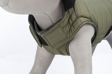 TRIXIE Arlay Dog Coat – Dark Green (XXS, 24 cm)