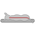 orthopedic dog mat