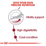 Royal Canin Medium Adult 7+ Dog Food - PetWorld