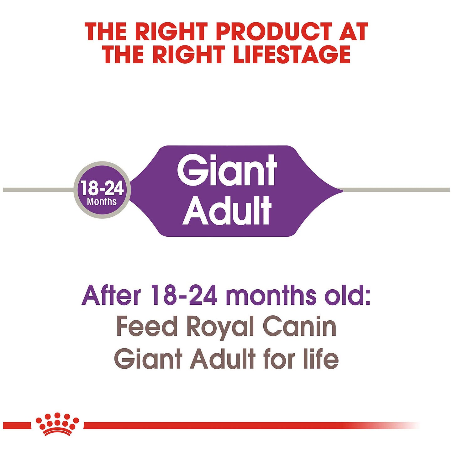 Royal Canin Giant Adult Dog Food - PetWorld