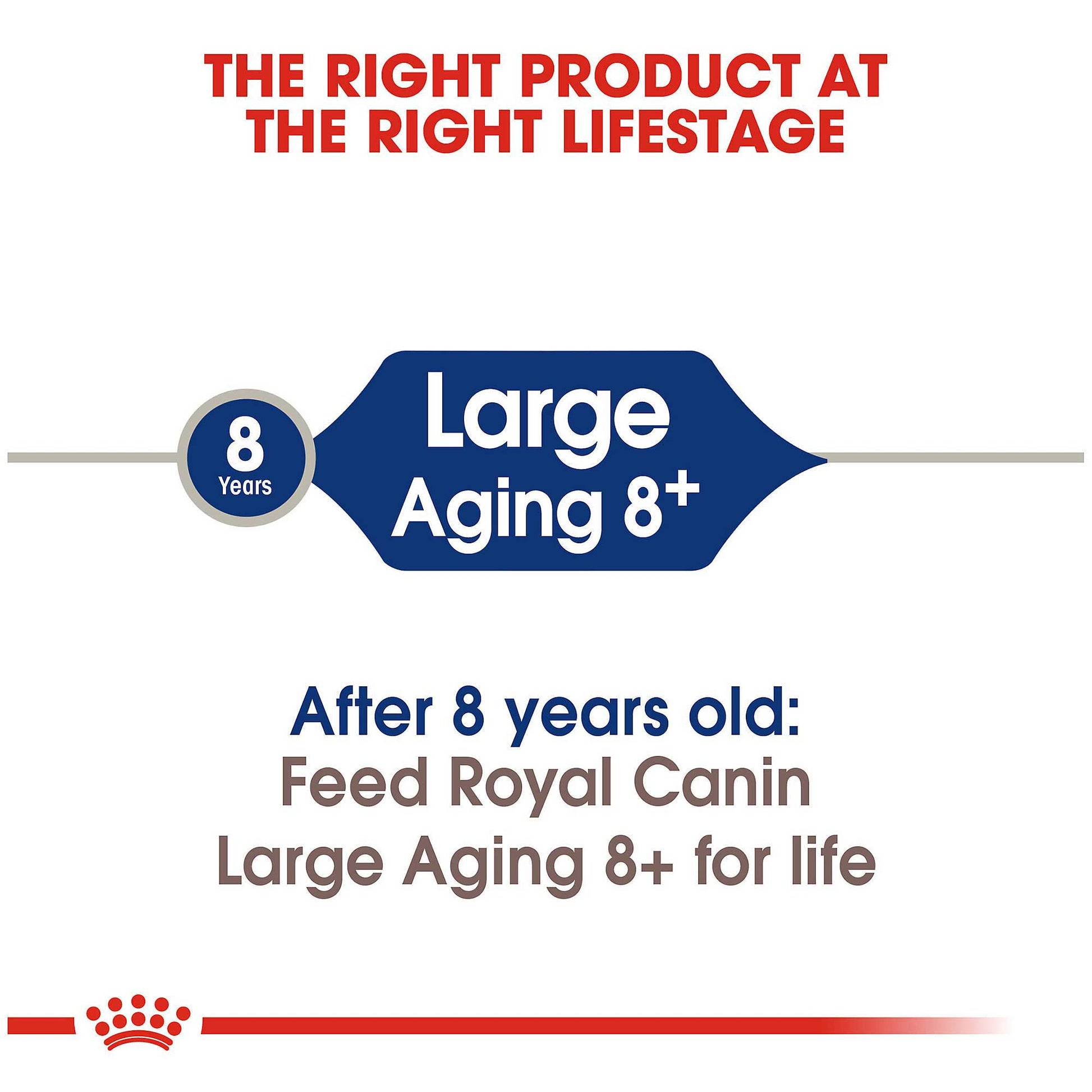 Royal Canin Maxi Ageing 8+Dog Food - PetWorld