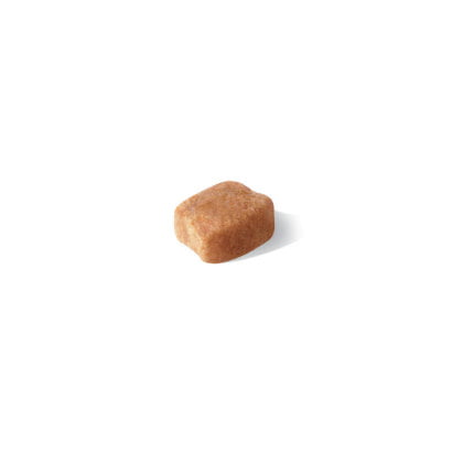 Royal Canin Dachshund Dog Food - PetWorld
