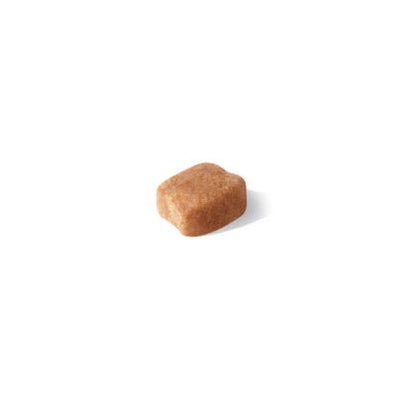 Royal Canin Dachshund Dog Food - PetWorld
