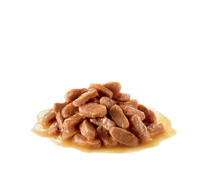 Royal Canin Kitten in Gravy 85g - PetWorld
