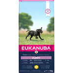 Puppy eating Eukanuba