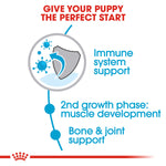 Royal Canin Giant Junior Dog Food - PetWorld