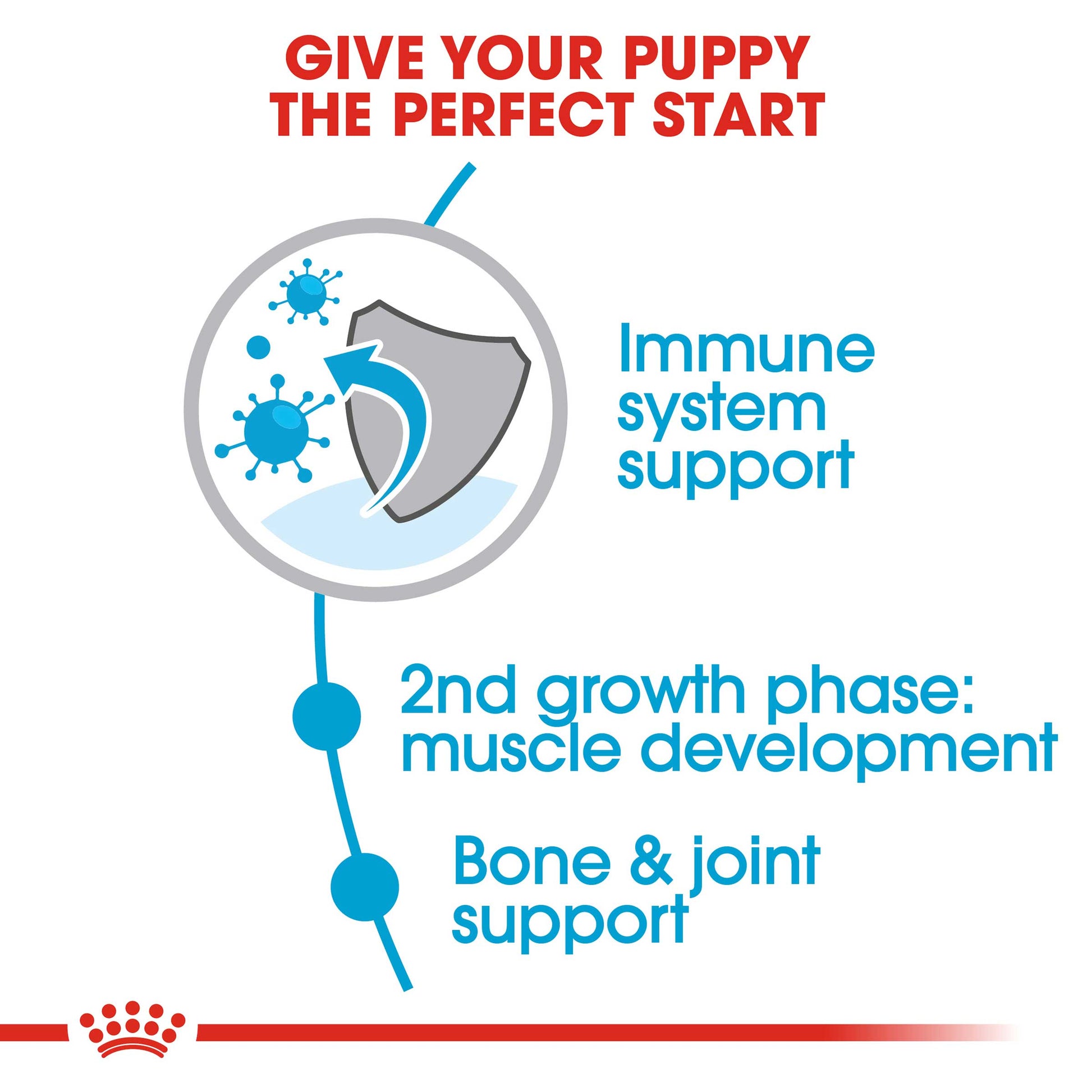 Royal Canin Giant Junior Dog Food - PetWorld