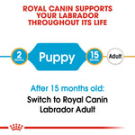 Royal Canin Labrador Retriever Puppy from 2 to 15 months, then switch to Labrador Adult