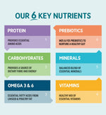 6 Key Nutrients