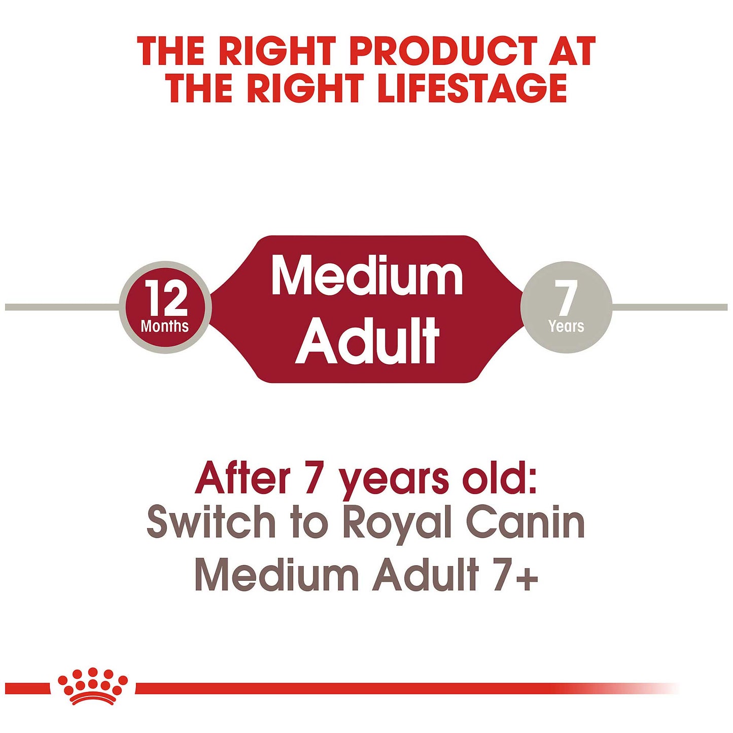 Royal Canin Medium Adult Dog Food - PetWorld
