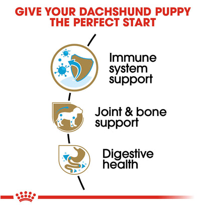 Royal Canin Dachshund Puppy 1.5Kg - PetWorld