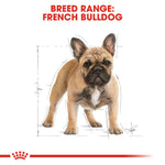 Royal Canin breed range: French Bulldog