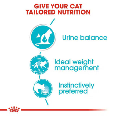 Diagram of cat nutrition benefits