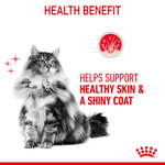 Long haired cat with a shiny coat: Hair and Skin Care helps support healthy skin and a shiny coat