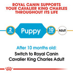 Royal Canin Cavalier King Charles Puppy from 2 to 10 months, then switch to Cavalier King Charles Adult