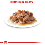 Royal Canin Instinctive 7+ chunks in gravy served on a plate
