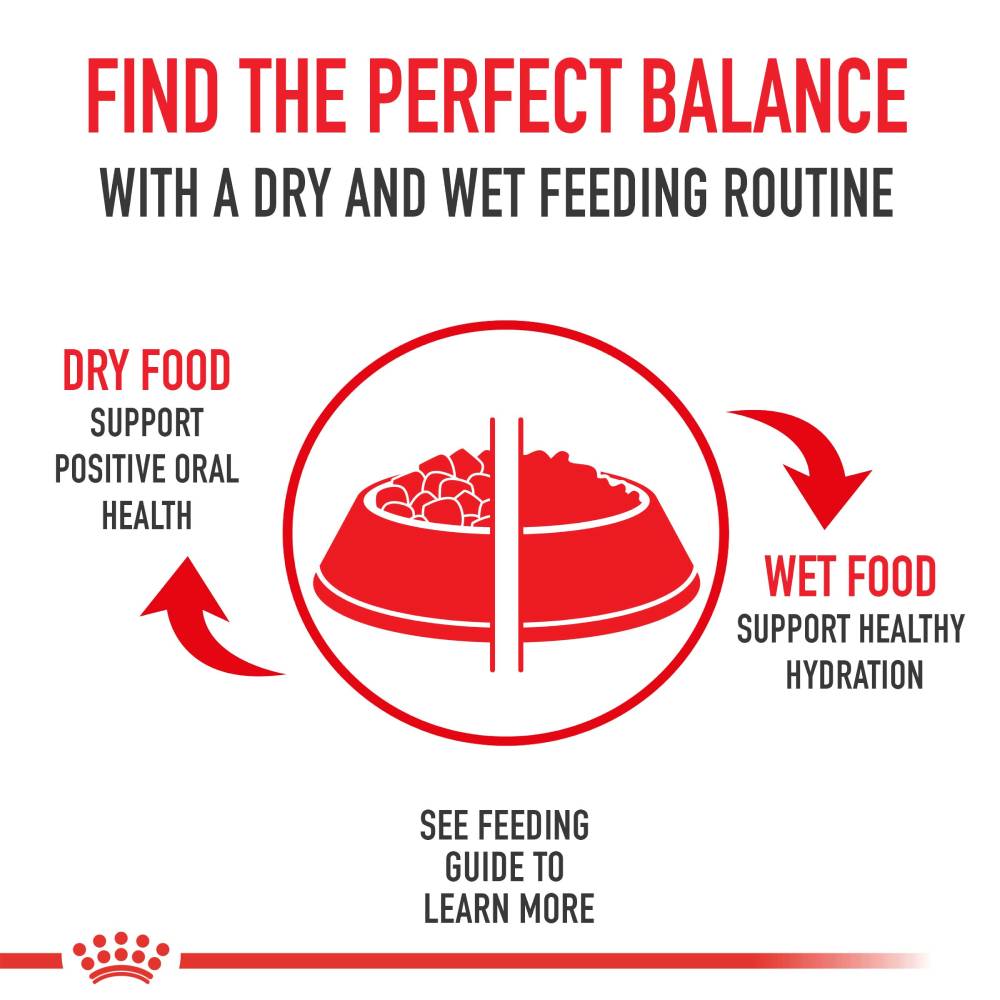 Royal Canin Sterilised Appetite Control Dry Cat Food