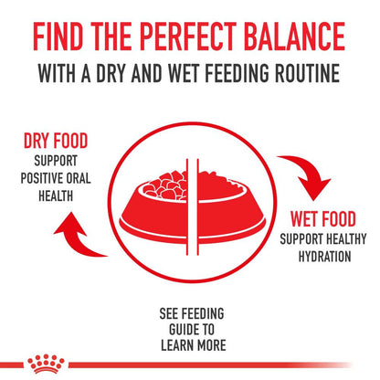 Royal Canin Sterilised Appetite Control Dry Cat Food