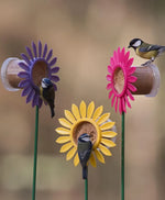 Flutter Butter Flower Bed Bird feeder for Flutter butter pods - PetWorld