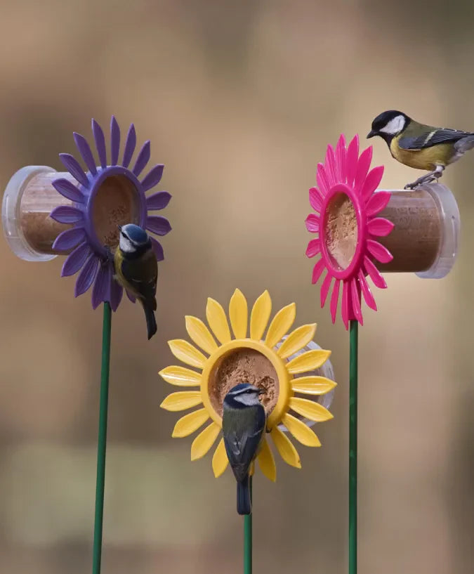 Flutter Butter Flower Bed Bird feeder for Flutter butter pods - PetWorld