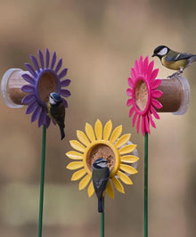 Flutter Butter Flower Bed Bird feeder for Flutter butter pods - PetWorld