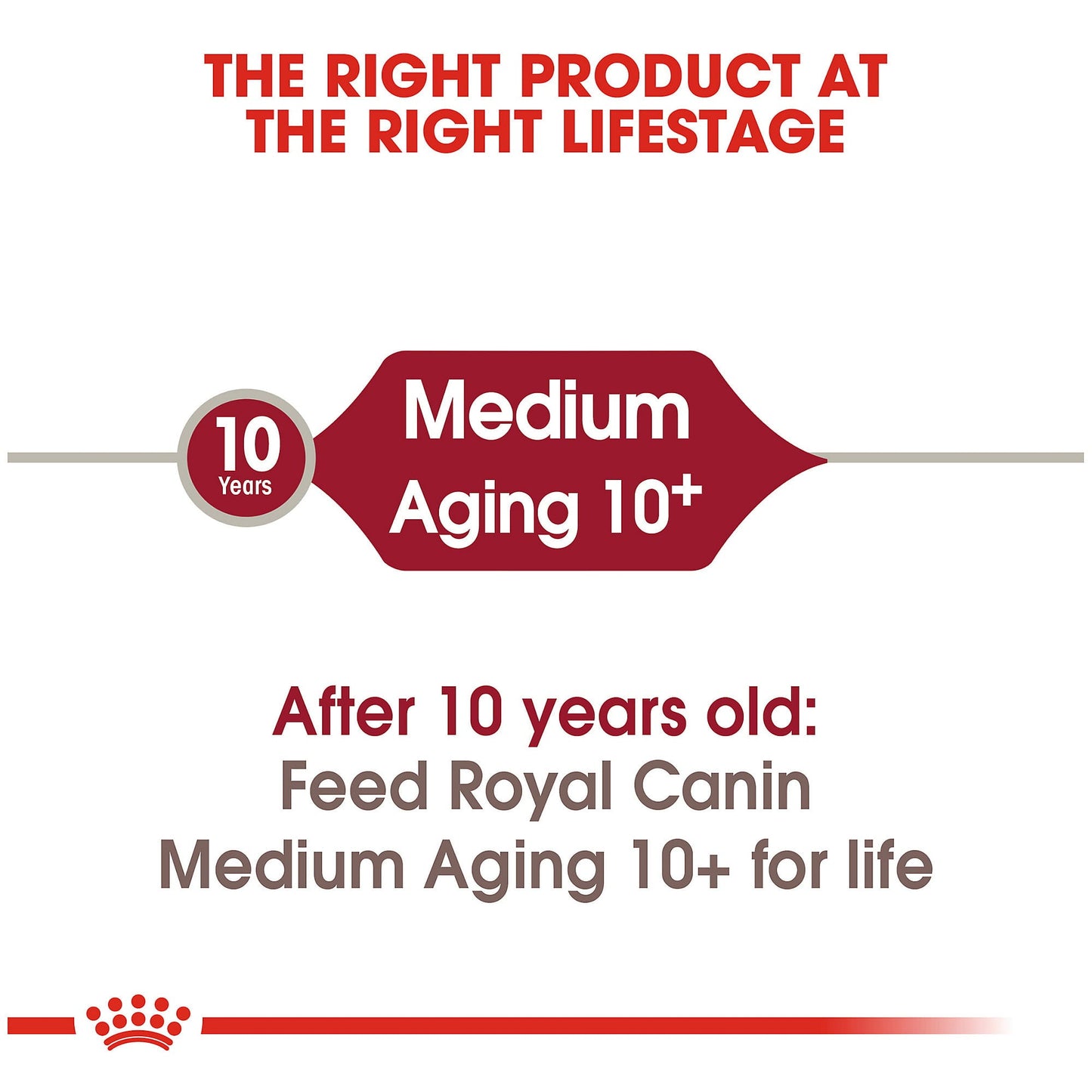 Royal Canin Medium Aging 10+ Dog Food - PetWorld